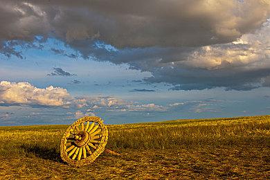 《三伏》庆祝发售一周年 作者月光蟑螂分享新作进度